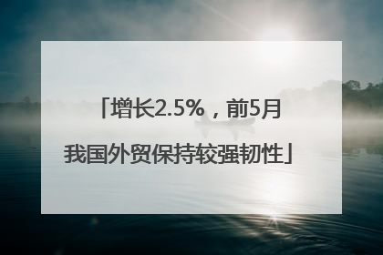 增长2.5%，前5月我国外贸保持较强韧性