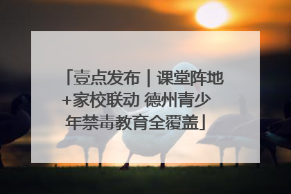 壹点发布｜课堂阵地+家校联动 德州青少年禁毒教育全覆盖