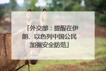 外交部：提醒在伊朗、以色列中国公民加强安全防范