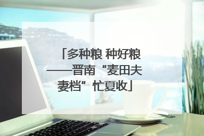 多种粮 种好粮——晋南“麦田夫妻档”忙夏收