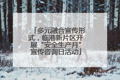 多元融合宣传形式，临港新片区开展“安全生产月”宣传咨询日活动