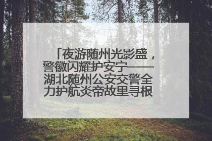 夜游随州光影盛，警徽闪耀护安宁——湖北随州公安交警全力护航炎帝故里寻根节夜游活动侧记