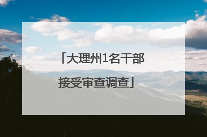 大理州1名干部接受审查调查