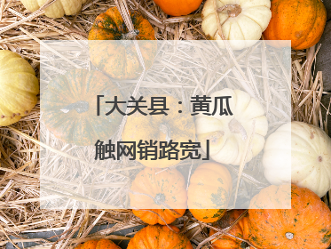 大关县：黄瓜触网销路宽