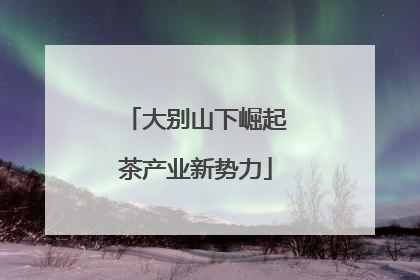 大别山下崛起茶产业新势力