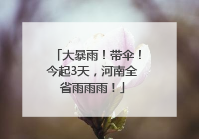 大暴雨！带伞！今起3天，河南全省雨雨雨！