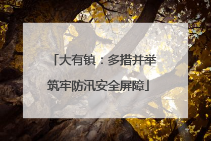 大有镇：多措并举筑牢防汛安全屏障