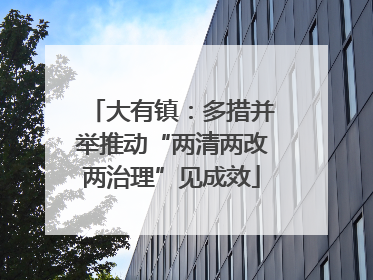 大有镇：多措并举推动“两清两改两治理”见成效