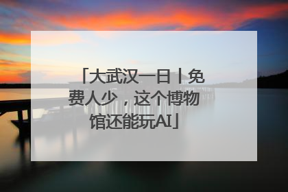 大武汉一日丨免费人少，这个博物馆还能玩AI
