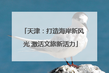 天津：打造海岸新风光 激活文旅新活力