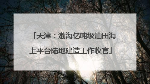 天津：渤海亿吨级油田海上平台陆地建造工作收官