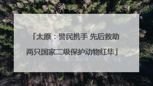 太原：警民携手 先后救助两只国家二级保护动物红隼