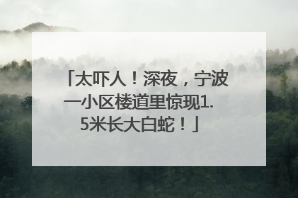 太吓人！深夜，宁波一小区楼道里惊现1.5米长大白蛇！