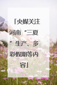 央媒关注河南“三夏”生产、多彩假期等内容