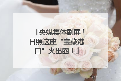 央媒集体刷屏！日照这座“宝藏港口”火出圈！