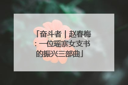 奋斗者｜赵春梅：一位瑶寨女支书的振兴三部曲