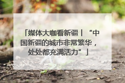媒体大咖看新疆丨“中国新疆的城市非常繁华，处处都充满活力”