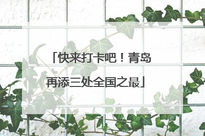 快来打卡吧！青岛再添三处全国之最