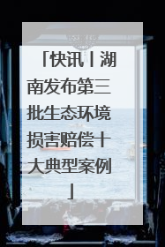 快讯丨湖南发布第三批生态环境损害赔偿十大典型案例