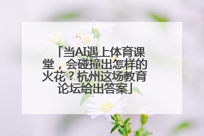 当AI遇上体育课堂，会碰撞出怎样的火花？杭州这场教育论坛给出答案