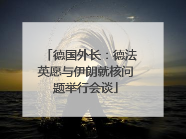 德国外长：德法英愿与伊朗就核问题举行会谈