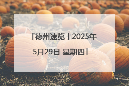 德州速览丨2025年5月29日 星期四