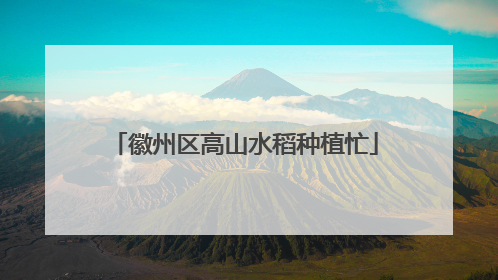 徽州区高山水稻种植忙