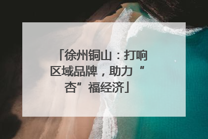 徐州铜山：打响区域品牌，助力“杏”福经济
