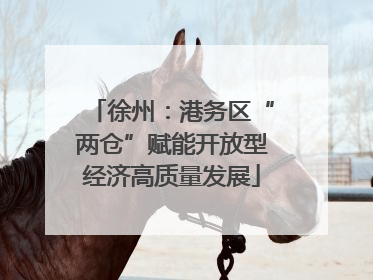 徐州：港务区“两仓”赋能开放型经济高质量发展