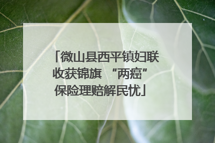 微山县西平镇妇联收获锦旗 “两癌”保险理赔解民忧