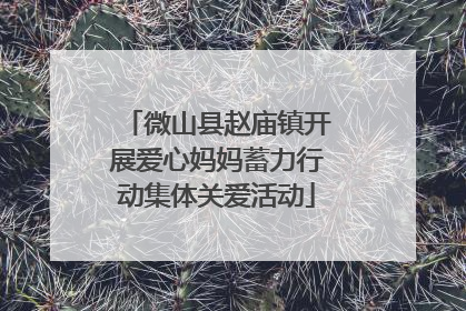微山县赵庙镇开展爱心妈妈蓄力行动集体关爱活动