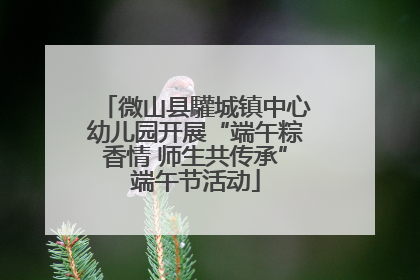 微山县驩城镇中心幼儿园开展“端午粽香情 师生共传承”端午节活动