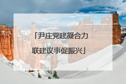 尹庄党建凝合力 联建议事促振兴