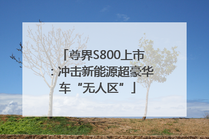 尊界S800上市：冲击新能源超豪华车“无人区”