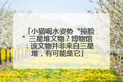 小猫喝水姿势“撞脸”三星堆文物？博物馆：该文物并非来自三星堆，有可能是它