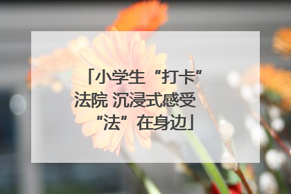 小学生“打卡”法院 沉浸式感受“法”在身边