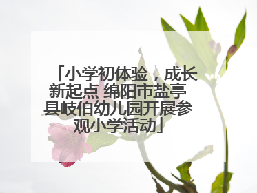 小学初体验，成长新起点 绵阳市盐亭县岐伯幼儿园开展参观小学活动