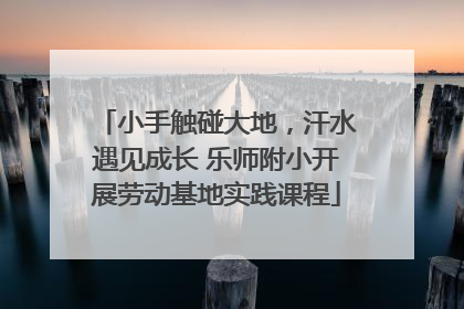 小手触碰大地，汗水遇见成长 乐师附小开展劳动基地实践课程