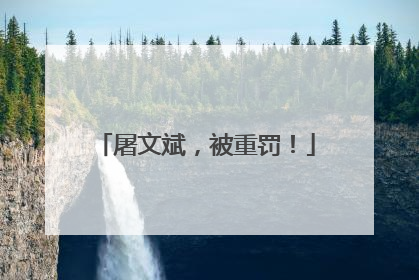 屠文斌，被重罚！