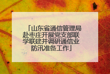 山东省通信管理局赴枣庄开展党支部联学联建并调研通信业防汛准备工作