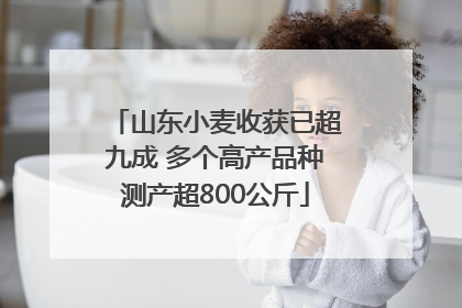 山东小麦收获已超九成 多个高产品种测产超800公斤