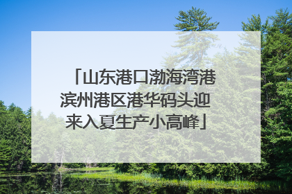 山东港口渤海湾港滨州港区港华码头迎来入夏生产小高峰