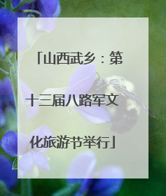 山西武乡：第十三届八路军文化旅游节举行