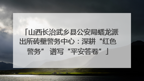 山西长治武乡县公安局蟠龙派出所砖壁警务中心：深耕“红色警务” 谱写“平安答卷”