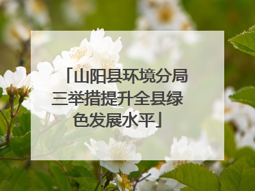 山阳县环境分局三举措提升全县绿色发展水平