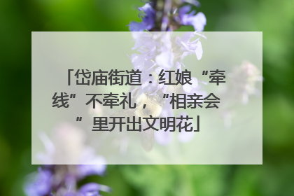 岱庙街道：红娘“牵线”不牵礼，“相亲会”里开出文明花