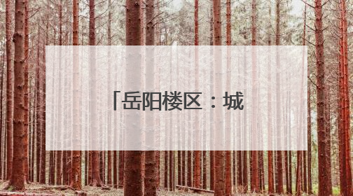 岳阳楼区：城陵矶港升级 助力文旅发展