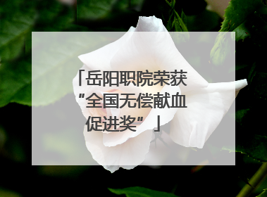 岳阳职院荣获“全国无偿献血促进奖”