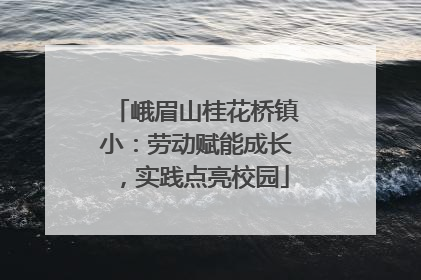 峨眉山桂花桥镇小：劳动赋能成长，实践点亮校园