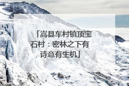 嵩县车村镇顶宝石村：密林之下有诗意有生机